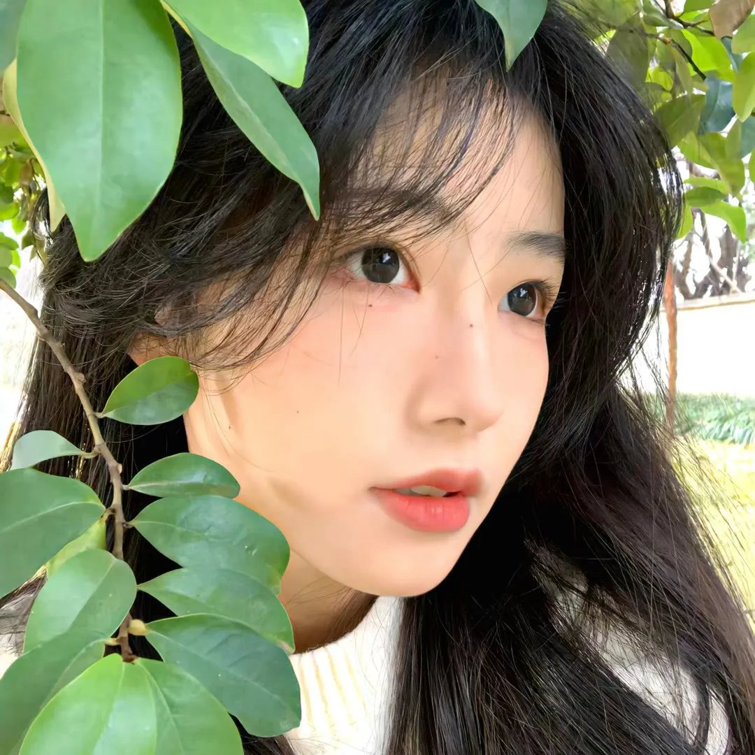 在巨大的洋葱之下